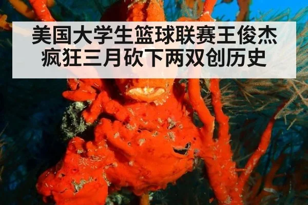 美国大学生篮球联赛王俊杰疯狂三月砍下两双创历史