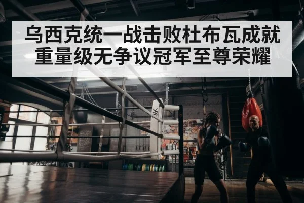 boxer training