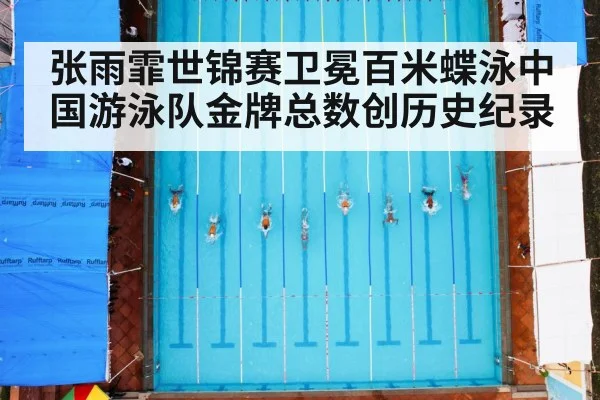张雨霏世锦赛卫冕百米蝶泳中国游泳队金牌总数创历史纪录